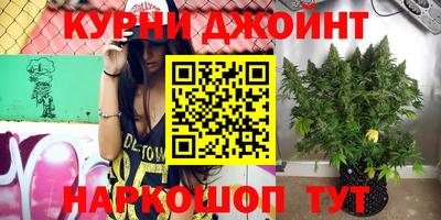 ECSTASY Гатчина