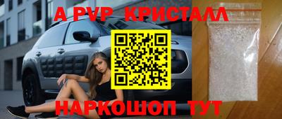 ECSTASY Гатчина