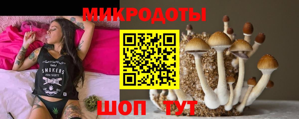 Галлюциногенные грибы мухоморы  Вход с VPN  Мытищи  Псилоцибиновые грибы мицелий 